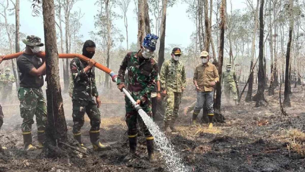 udara kebakaran hutan dan petugas memadamkan api di kawasan Way Kambas