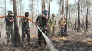 udara kebakaran hutan dan petugas memadamkan api di kawasan Way Kambas