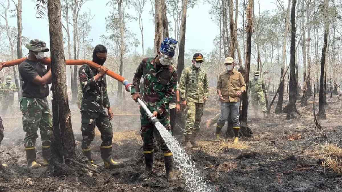 udara kebakaran hutan dan petugas memadamkan api di kawasan Way Kambas