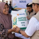 Pemerintah Salurkan Bantuan Beras 30 Kg untuk 33,2 Juta Penerima, Ini Rinciannya