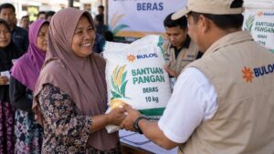 Pemerintah Salurkan Bantuan Beras 30 Kg untuk 33,2 Juta Penerima, Ini Rinciannya
