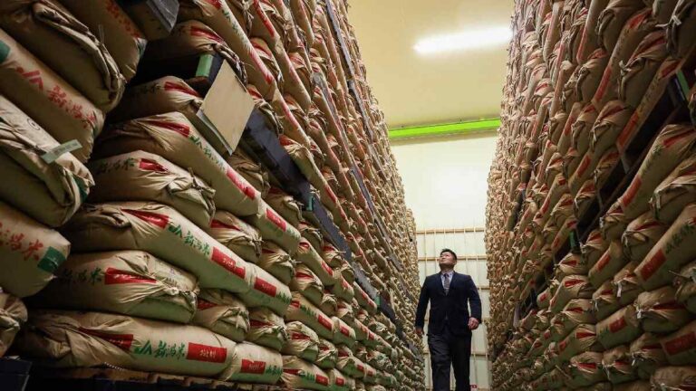 Jepang Siapkan Pembelian Tambahan 100.000 Ton Beras, Cadangan Pangan Masih Rendah